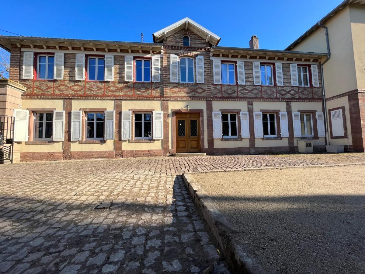 Gite Villa Avril Piscine- Jacuzzi- Sauna - 15 Pers-Proche Europapark Sélestat Dış mekan fotoğraf